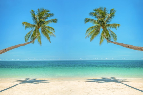 две пальмы, берег, песок, вода, бежевые, зеленые, синие, голубые